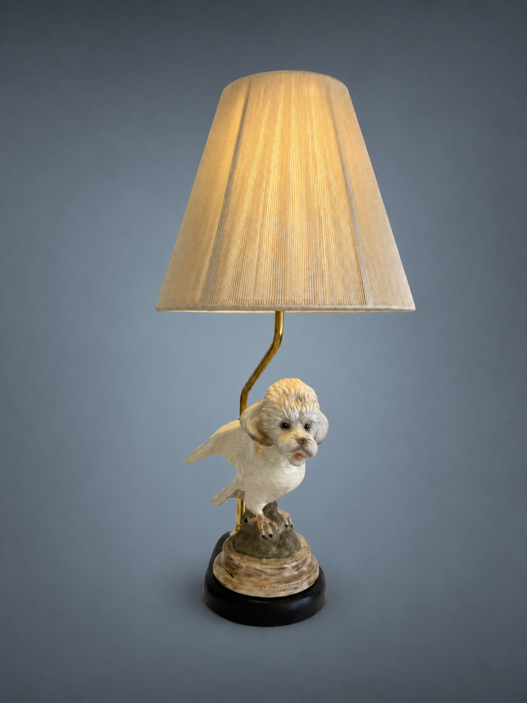 Bird Dog